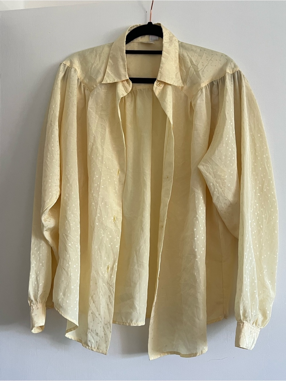 Vintage Light Yellow Sheer Dot Blouse